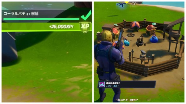 Fortnite シーズン3 コーラルバディ 樹齢 隠しチャレンジ チャプター2 ゲームいろいろ 人生いろいろ ﾌｫｰﾄﾅｲﾄ ﾏｲｸﾗetc