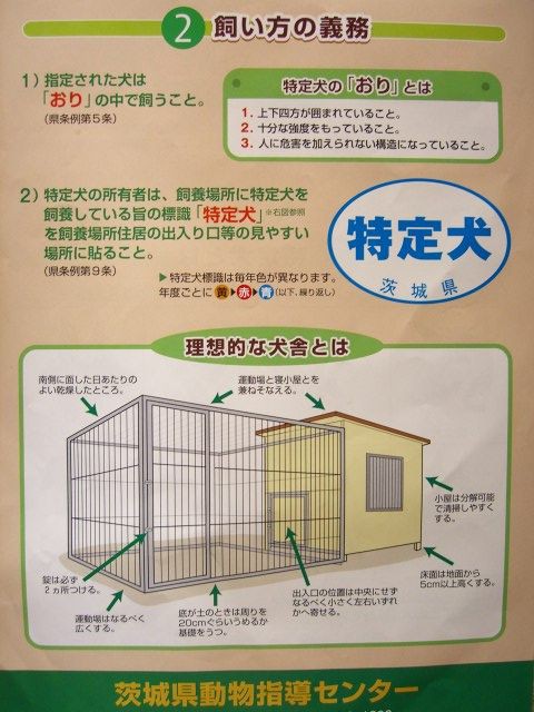 犬の噛む力をあなどるな 紀州犬は 特定犬 紀州犬 犬と歩けば棒にあたる 一期一会