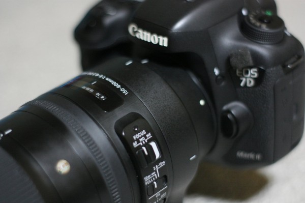 久々に使った SIGMA 150-600mm F5-6.3 DG OS HSM Contemporary が