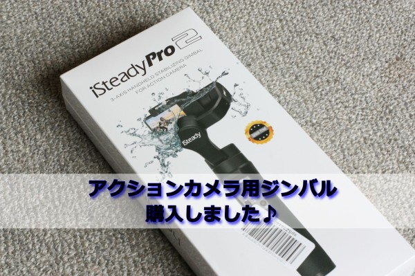 2本目】アクションカメラ用ジンバル Hohem iSteadyPro2 購入♪ 今回は良い感じ？ デジカメと リスと小鳥と 時々その他