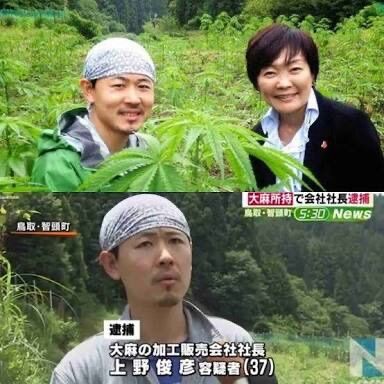 大麻って栽培簡単だからめちゃくちゃ稼げるってマジ 黄昏ちゃんねる