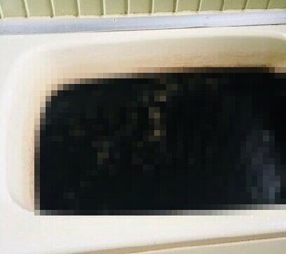 画像 自然派ママ 60年も洗ってない マコモ風呂 に入らせていただきました 黄昏ちゃんねる