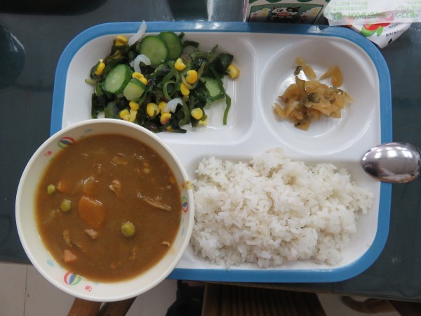 給食エプロン カレー オファー