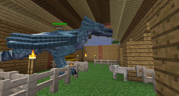 新年初マイクラ たつサーバー