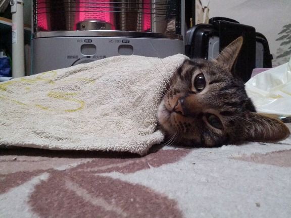 三日月の舞 吹奏楽板の評判ｗｗ クラシック音楽速報