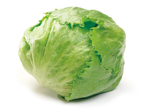 我が目を疑った花言葉一覧ｗｗｗ まとめッター