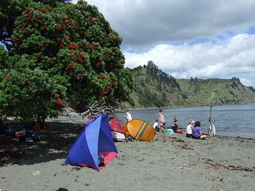 寒くて泳げなくて 夏 ゴート島海洋保護区 08年 Nz 七つの海の探訪見聞録