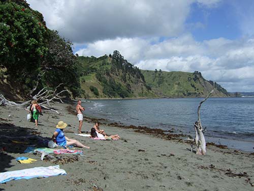 寒くて泳げなくて 夏 ゴート島海洋保護区 08年 Nz 七つの海の探訪見聞録