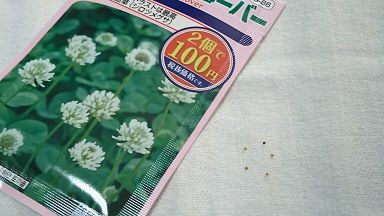 お庭造り 2 お庭の土が靴について汚れるのをグランドカバーで予防したい 節約目当ての家庭菜園