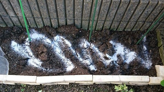 ダイソーの苦土石灰は便利 酸性の中和と肥料追加に 節約目当ての家庭菜園