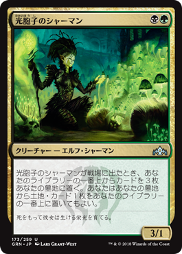MTG ハルマゲドン　低木林地　など MTG ハルマゲドン 低木林地 など 低木林地/Brushland》[10ED