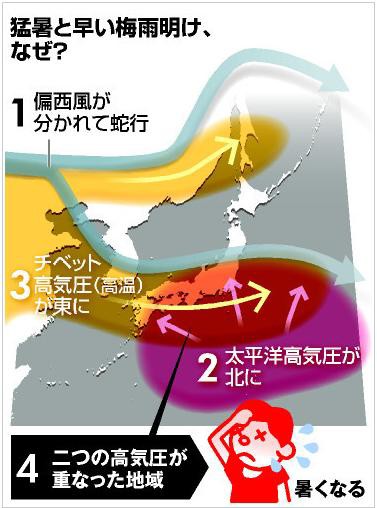 半月も早い梅雨明けと猛暑 クラブアルペン情報局