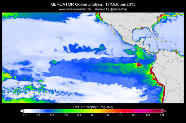 ラニーニャ現象発生 冬にかけて続く可能性高い 気象庁 Portalfield News
