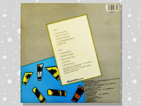 NINJAMANニンジャマンSUNSPLASHサンスプラッシュ Ninjaman 「Sunsplash」 : つれづれげえ日記
