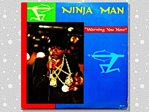 Ninja Man 「Warning You Now」 : つれづれげえ日記