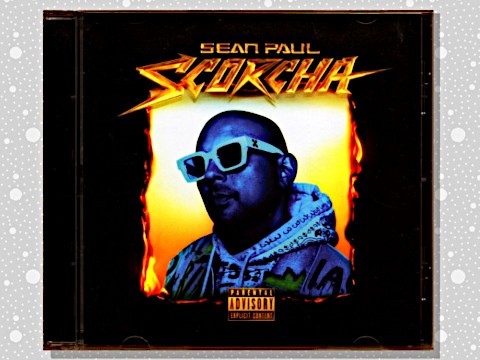 人気希少盤 Sean Paul feat Sasha 7インチ Reggae Sean Paul, Sasha - I'm Still In Love With You Boy(7