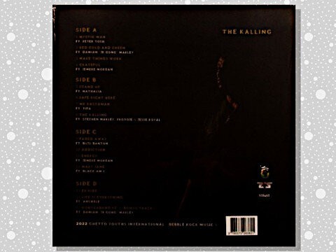 Kabaka Pyramid The Kalling 新品 レゲエ LPレコード
