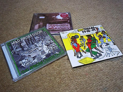 都知事選公示日の街でレゲエのCDを探す : つれづれげえ日記