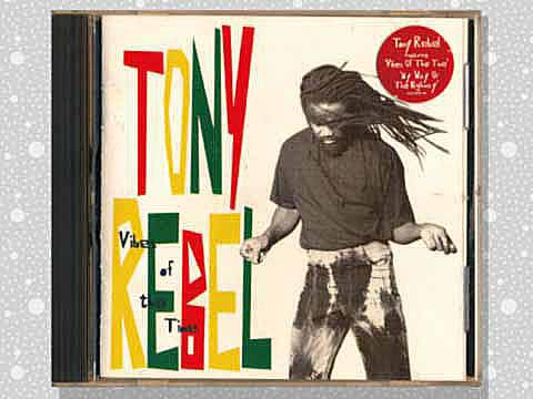 Tony Rebel「Vibes Of The Time」 : つれづれげえ日記