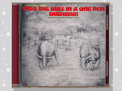 河村祐介著「DUB入門」はなかなか優れたダブの入門書だと思います