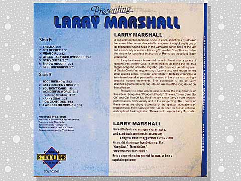 お得在庫Presenting Larry Marshall 洋楽