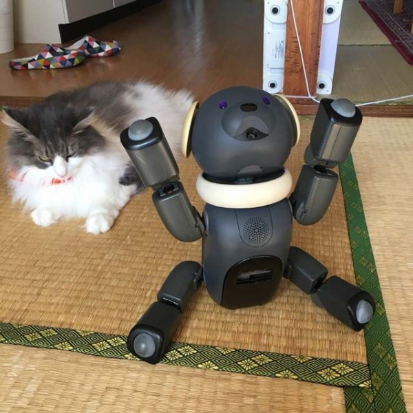 里親募集】SONY aibo アイボ ERS-1000(現在♂）