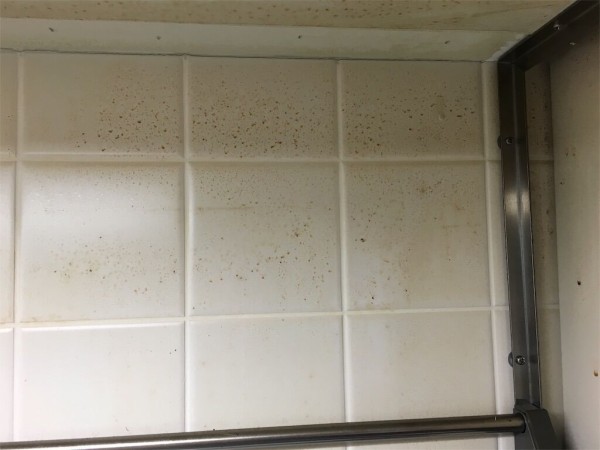 実家を片付けたい 母親の汚屋敷を断捨離したドキュメンタリーブログ 実践編 ていない ていねいじゃない暮らしのブログ Powered By ライブドアブログ