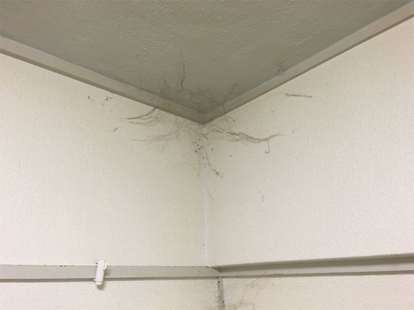 実家を片付けたい 母親の汚屋敷を断捨離したドキュメンタリーブログ 実践編 ていない ていねいじゃない暮らしのブログ Powered By ライブドアブログ