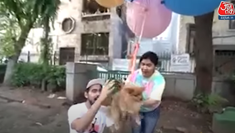 インド人youtuber ペットの犬を風船で飛ばす 虐待だ と批判殺到し逮捕される 動画あり てきとーまとめ
