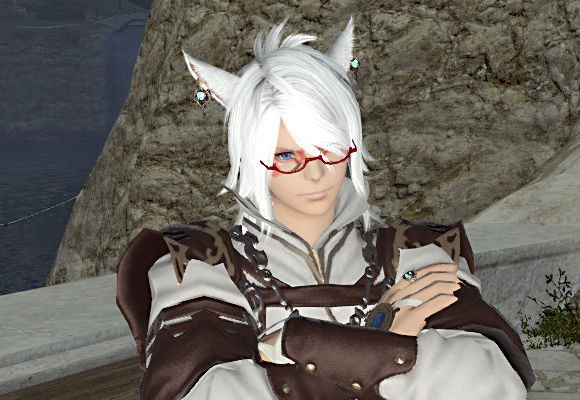 Ff14 に比べて 装備が充実してないけど男性専用のオシャレ服を追加するのは賛成 反対 ゲームをレンタルできるゲーム屋さん