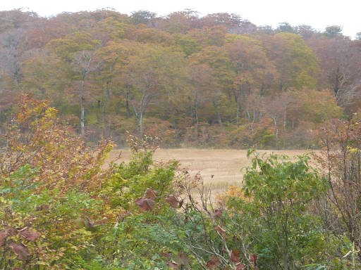 松之山紅葉を求めて４ 野々海高原を歩く 高橋さんの写真館 分館