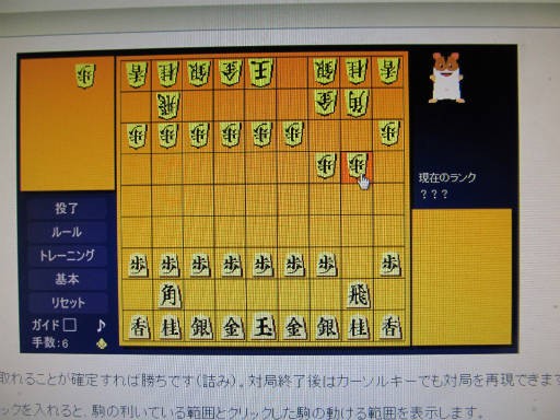ハム将棋にやつあたりする おとなげないなあ 高橋さんの写真