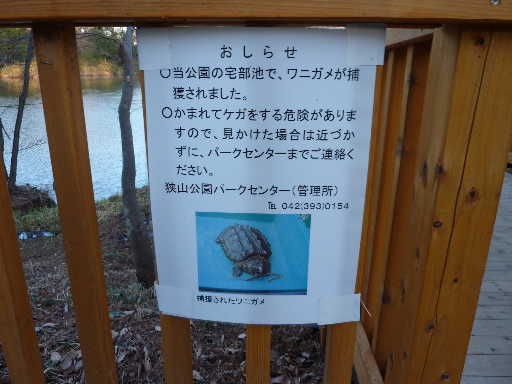 多摩湖周辺を歩くのだ３ 西武園周辺 高橋さんの写真館 分館