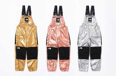 supreme x the north face silver