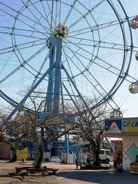ときわ公園　観覧車 a675a3a533f77d61b10e2a44fd3b00