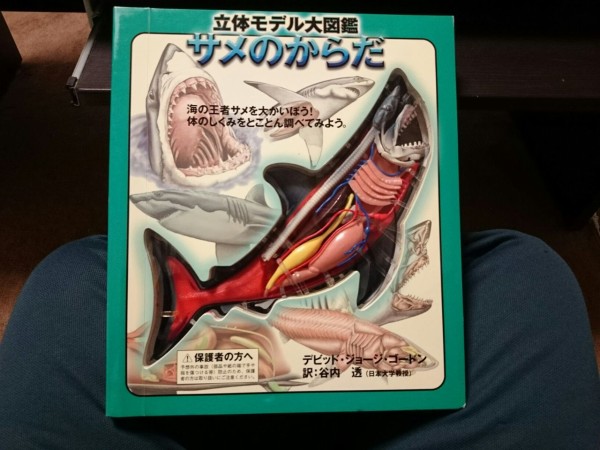 立体モデル大図鑑サメのからだ 特に言うことはノイ W