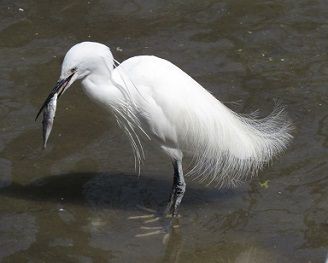4月19日は何の日 天王寺動物園スタッフブログ