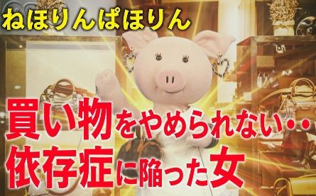 買い物依存症の女 ねほりんぱほりん Twitterの声 Terracehouse Lovelog