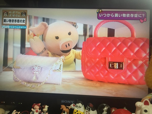 買い物依存症の女 ねほりんぱほりん Twitterの声 Terracehouse Lovelog