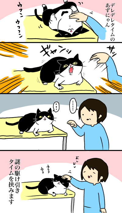 油断禁物 猫6匹のいる生活