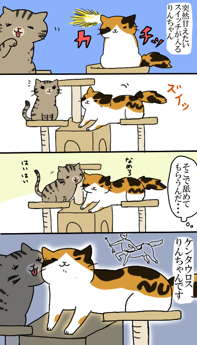 神話の世界 猫6匹のいる生活