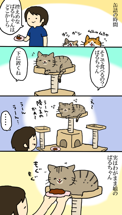 わがまま娘 猫6匹のいる生活