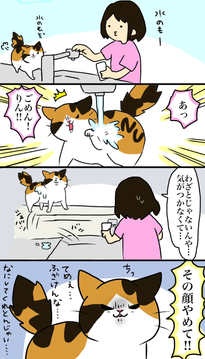 ふざけるなよ 猫6匹のいる生活