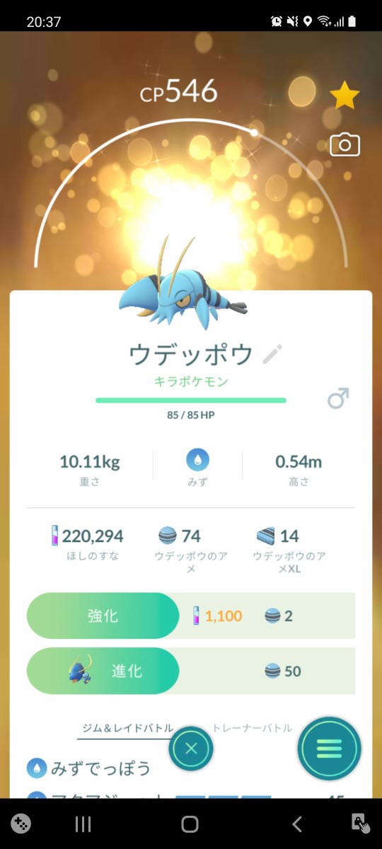 キラポケモン ウデッポウ ゲット Terumonぼうけんノート