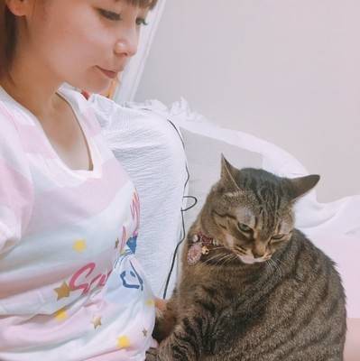 止まらない猫ブーム芸能人はどんな猫を飼っているの みんみん芸速 W