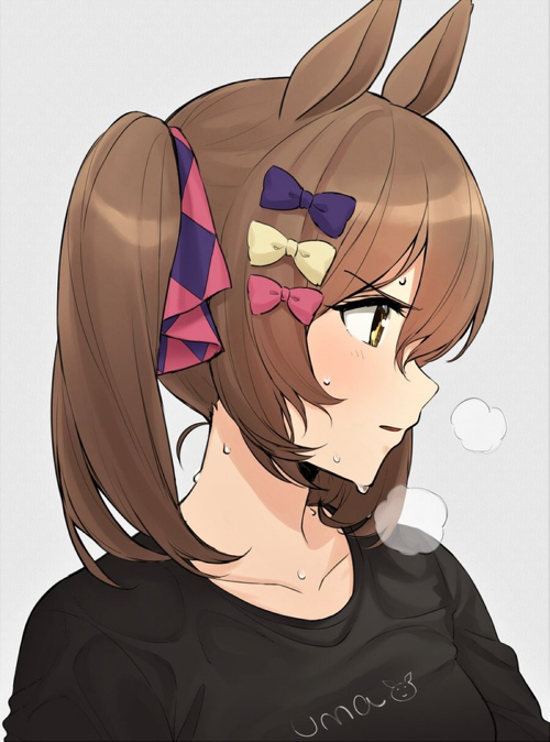 ウマ娘 ファルコやカレンチャンもこんな顔するの 本気で走るから輝くんや ウマ娘カノープス速報