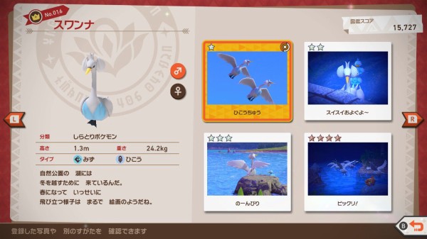 New ポケモンスナップ ミツハニー スワンナ ヤミカラス ホーホー ねこじゃらし