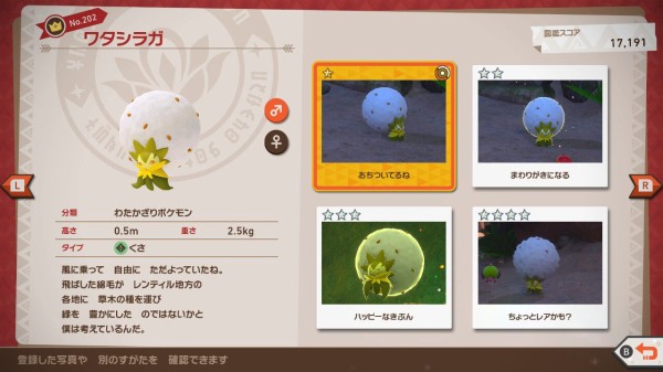 New ポケモンスナップ ワタシラガ シンボラー シャンデラ ゴルーグ ねこじゃらし