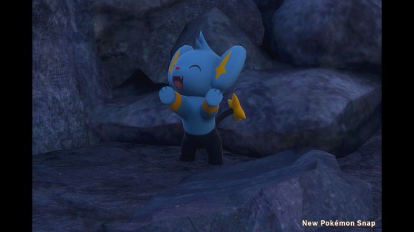 New ポケモンスナップ レントラー アーケオス ヒトカゲ ゴローン ガチゴラス コリンク ねこじゃらし New ポケモンスナップ レントラー アーケオス ヒトカゲ ゴローン ガチゴラス コリンク ねこじゃらし