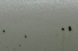 掃除の時間 ピッチ タールの除去方法 世界一受けたいトラックメンテナンス授業